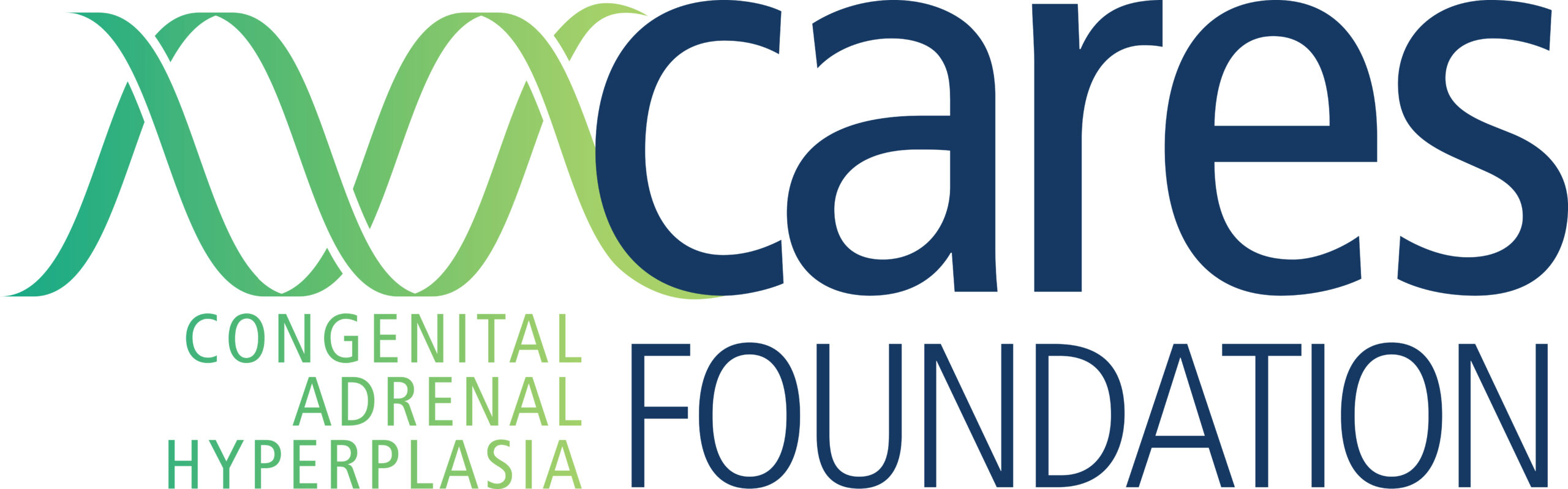 2022 cares logo wCAH large JPG