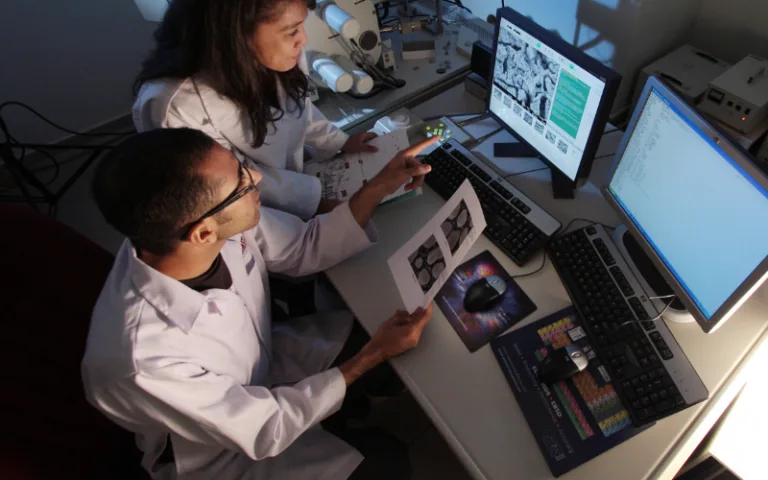 The Importance of Having a Strong Clinical Monitoring Team When Collecting Data in an EAP